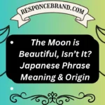 The Moon is Beautiful, Isn’t It? Japanese Phrase Meaning & Origin