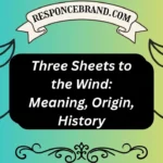 Three Sheets to the Wind: Meaning, Origin, History